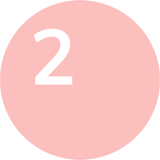 z2_tiny